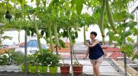 Vườn sân thượng đẹp và đủ các loại rau trái như siêu thị mini ở Hải Phòng Vườn sân thượng đẹp và đủ các loại rau trái như siêu thị mini ở Hải Phòng