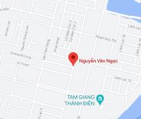 Bán đất đường Nguyễn Văn Ngọc, phường Hòa Xuân, Quận Cẩm Lệ, DT: 100 m2, giá: 3.3 tỷ