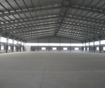 Cho thuê kho xưởng mới 5.000m2 trong KCN Hải Sơn, GĐ 3+4, mới xây rất đẹp