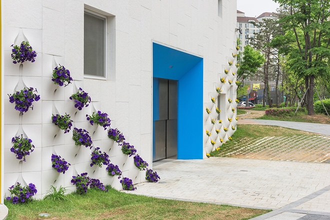 Hoa lá phát triển nhờ các chất dinh dưỡng có trong bình đổ dung dịch thủy sinh ngoại thất đẹp