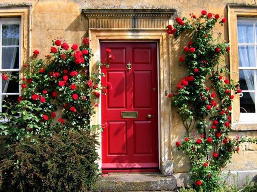 Chiêm ngưỡng những cánh cửa độc đáo từ khắp nơi trên thế giới1 Cánh cửa tại Cotswolds, Anh Quốc xinh xắn