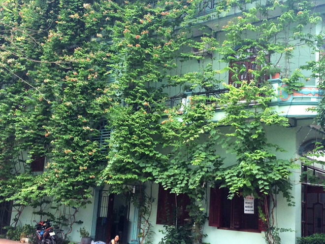 Ngôi nhà ấn tượng với rèm cây xanh mát ở Quảng Ninh3 đổi vận cho ngôi nhà