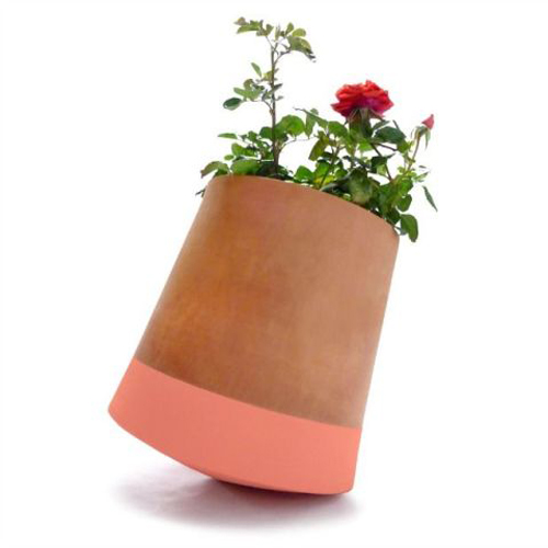 Chậu cây này giống như hoa hướng dương, sẽ xoay về phía có ánh sáng để nhận được nhiều nguồn năng lượng nhất cho việc quang hợp. Giá của sản phẩm là 57USD cây cảnh