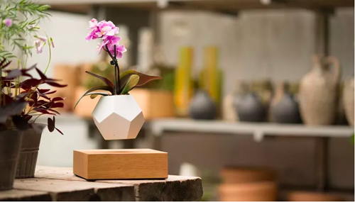 Chậu cây biết bay có 1 bình cây lơ lửng chuyển động xung quanh chân đế bằng gỗ sồi. Điểm đặc biệt làm nên sự kỳ diệu này chính là nam châm được gắn ở cả 2 phần này cây cảnh