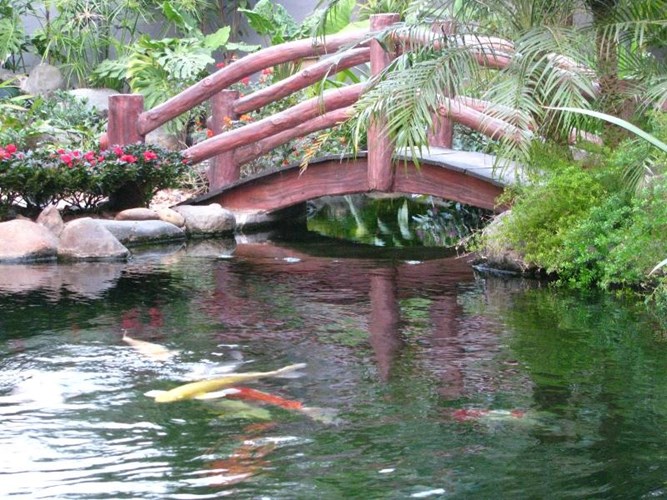 Chiếc cầu chính là “ sợi dây” liên kết giữa các cụm không gian riêng lẻ trở nên liền mạch với nhau thiết kế cầu gỗ