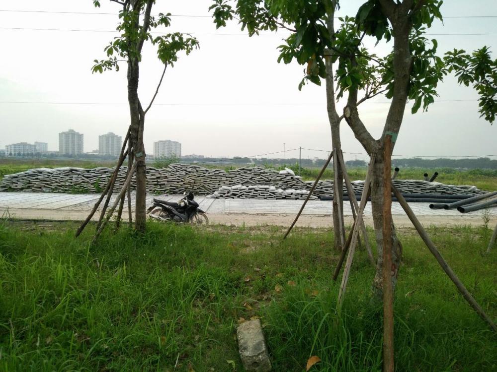 Tiến độ thi công ngày 10/11/16