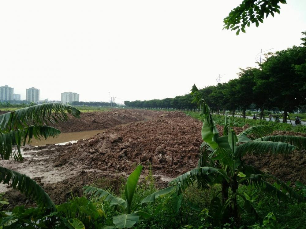 Dòng nước bên cạnh cung đường nhiều cây xanh