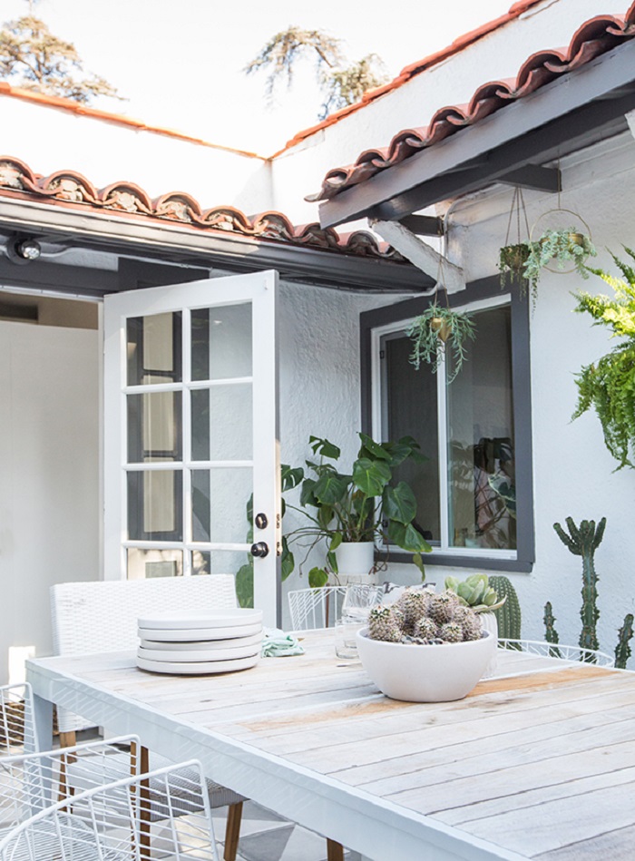 Một số loài cây xanh được lựa chọn để sử dụng như xương rồng, cây địa lan Sân vườn