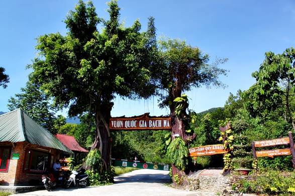 Phân khu xây dựng Khu du lịch sinh thái tâm linh và nghỉ dưỡng Bạch Mã được quy hoạch. Ảnh minh họa Dự án