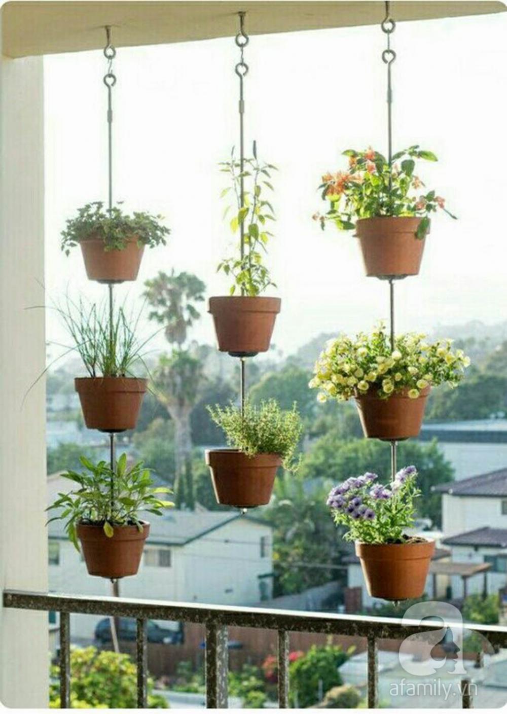 Ban công đẹp hơn với những chậu cây treo Ban công đẹp