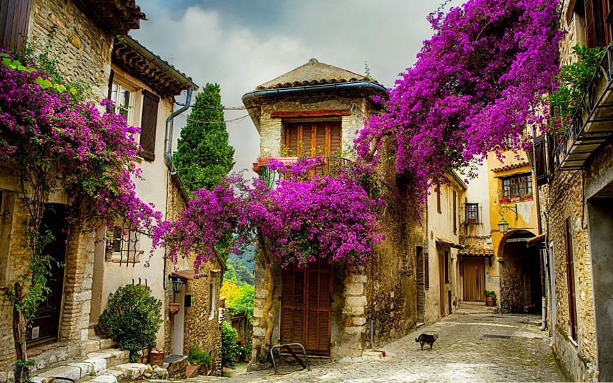 Làng cổ Provence với những ngôi nhà đẹp như cổ tích nhà đẹp như cổ tích