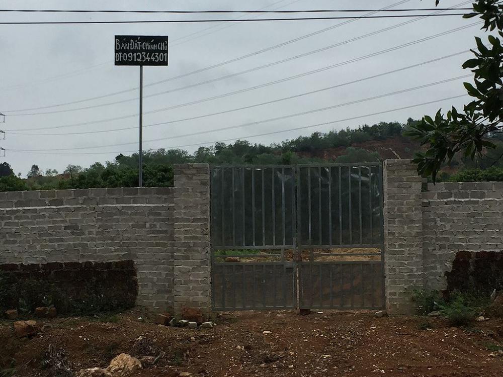 Ngay cạnh khu đất rừng phòng hộ vẫn xuất hiện các biển rao bán đất. rao bán đất rừng phòng hộ
