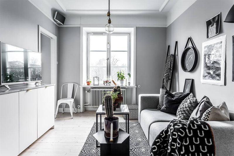 Phòng khách gồm sofa đơn, thảm họa tiết màu đen trắng đặt cạnh cửa sổ để tận dụng ánh sáng tự nhiên. Trên bàn trà là những chậu xương rồng nhiều kiểu dáng vừa đem lại nét xanh vừa tạo vẻ đẹp tinh tế cho nơi tiếp khách của gia đình. phòng khách đẹp