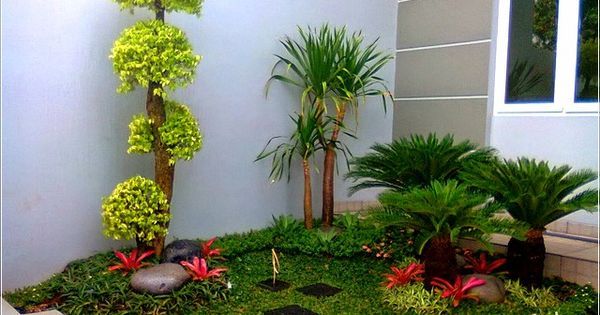 Góc vườn nhỏ trong nhà gồm nền trải cỏ, một số loại cây cao thấp xen kẽ thiết kế vườn trong nhà