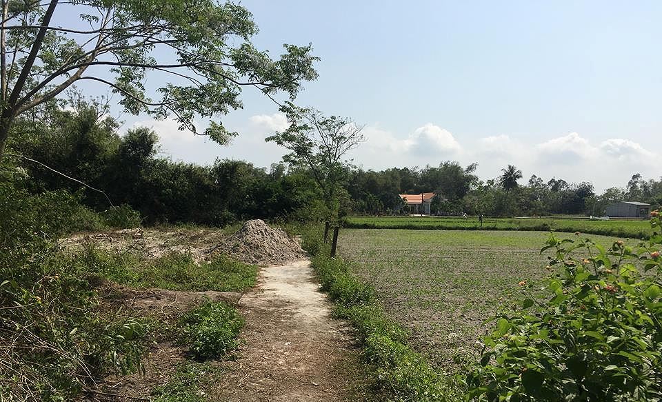 Một thửa đất ruộng bỏ không được cò đất thổi giá cao thổi giá đất ruộng