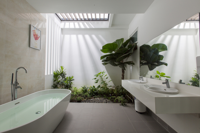 Bên dưới một khoảng giếng trời là tiểu cảnh cây xanh đặt trong không gian phòng tắm. phòng tắm dưới giếng trời