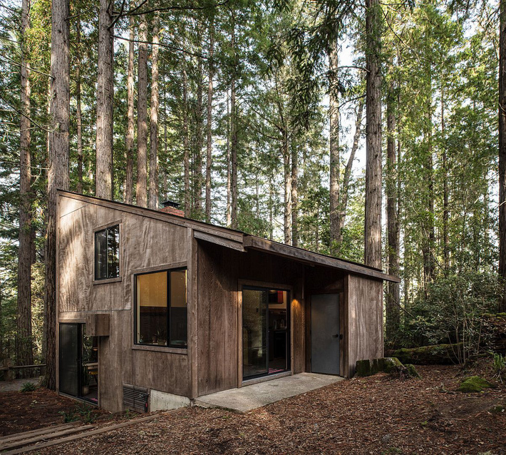 Vẻ ngoài mộc mạc, đơn sơ của ngôi nhà gỗ giữa rừng Redwood, California nhà gỗ giữa rừng Redwood